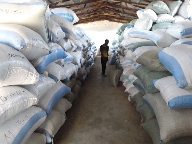 CARI PROJECT PUSHES MUSOMA FOOD RICE BUSINESS FROM DOMESTIC TO REGIONAL MARKETS